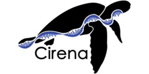 Cirena